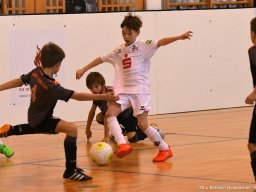 mini-2017-01-28-DSC_2786